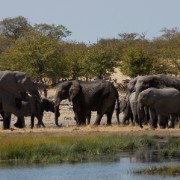 africa2006 CRW 3102 : Africa Afrika, Fauna Tier Animal, Urlaub