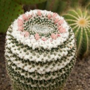 CRW 2120 : Belgien, Natur Nature, Urlaub